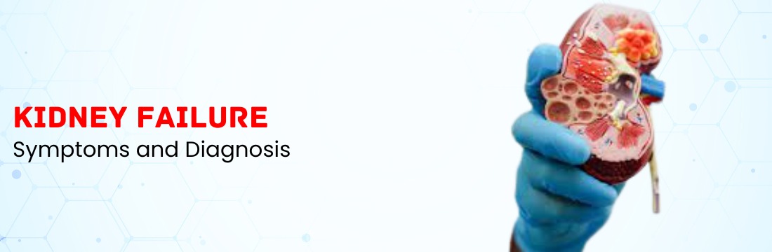 Kidney Failure: Symptoms, Diagnosis and Detection Scans